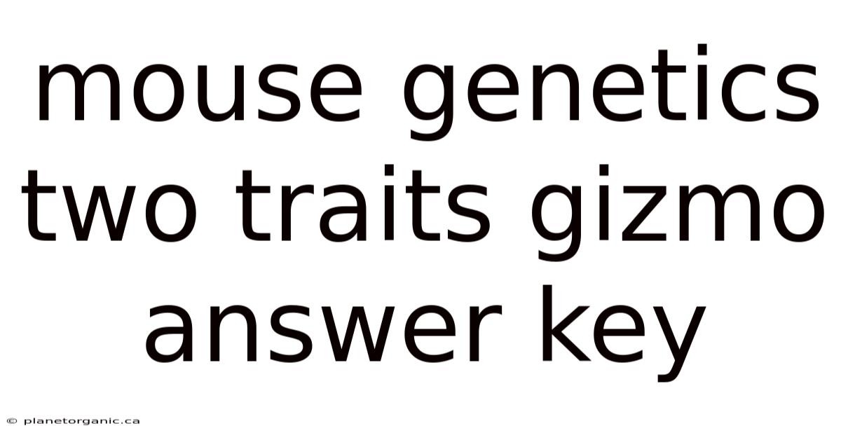 Mouse Genetics Two Traits Gizmo Answer Key