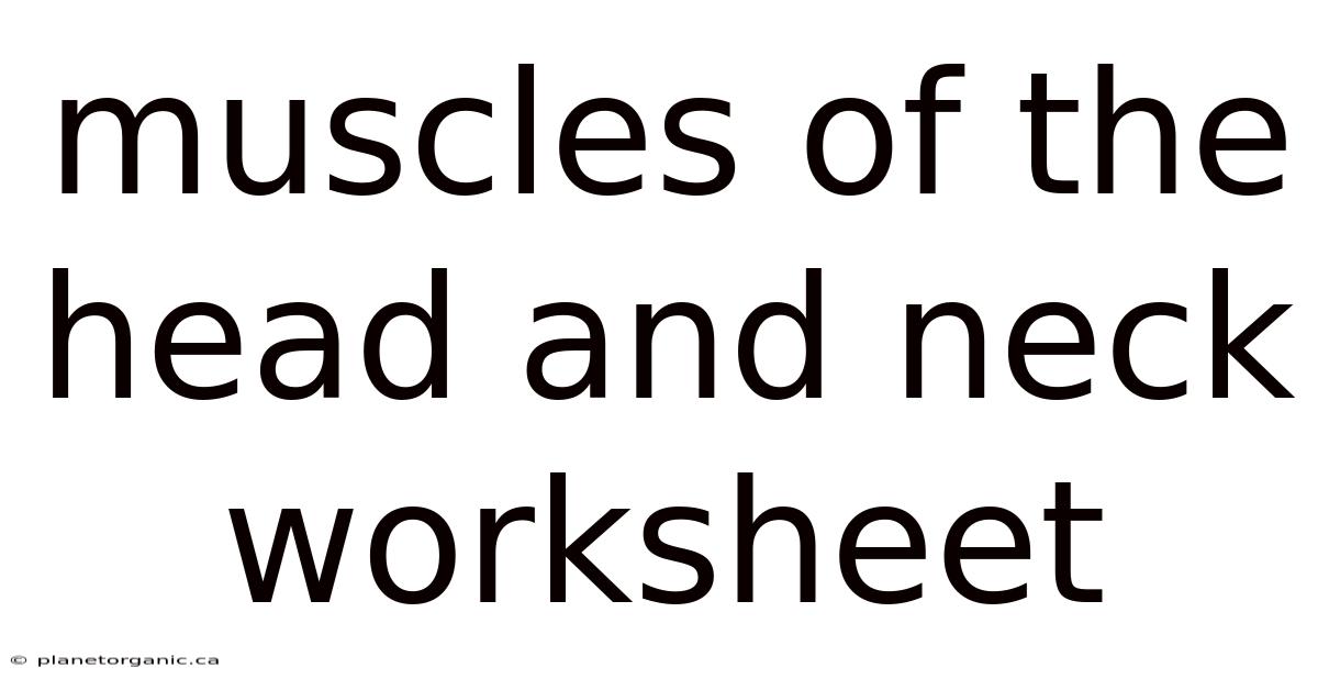 Muscles Of The Head And Neck Worksheet