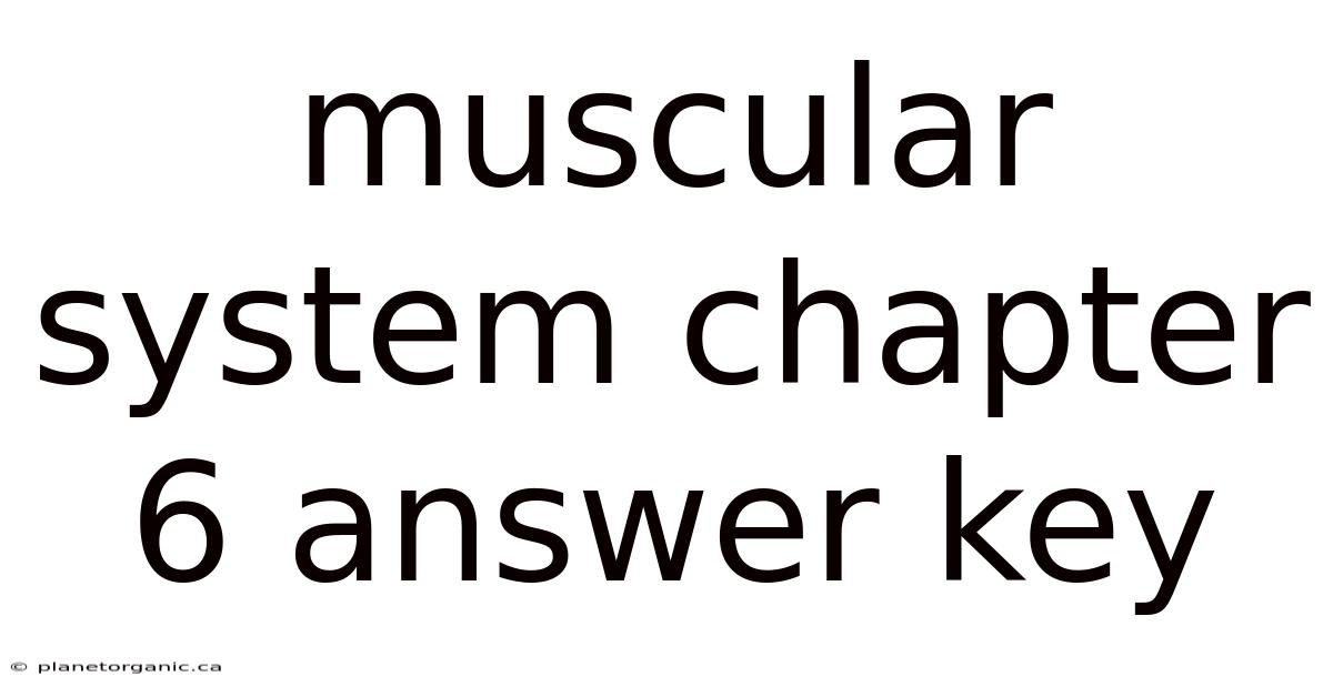 Muscular System Chapter 6 Answer Key