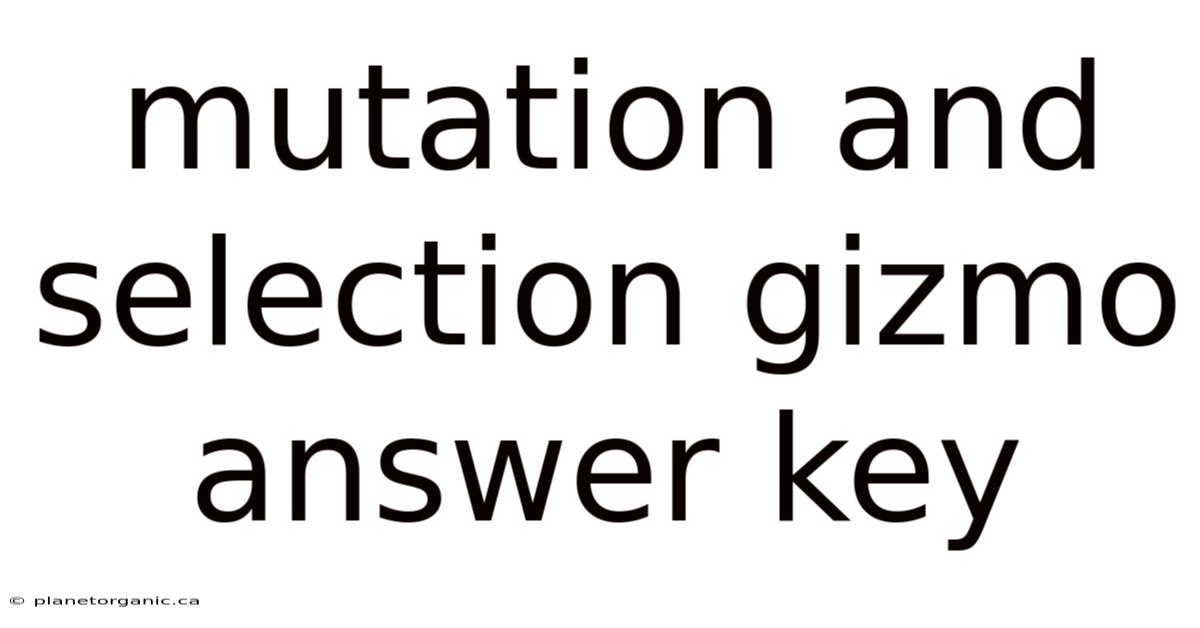 Mutation And Selection Gizmo Answer Key