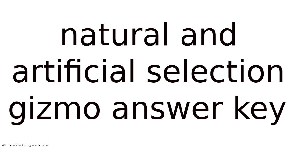Natural And Artificial Selection Gizmo Answer Key