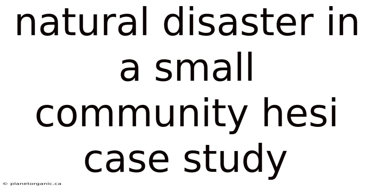 Natural Disaster In A Small Community Hesi Case Study