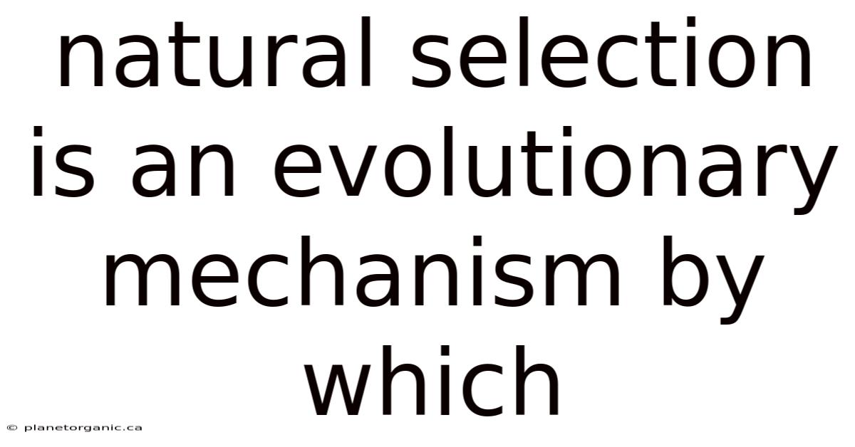 Natural Selection Is An Evolutionary Mechanism By Which