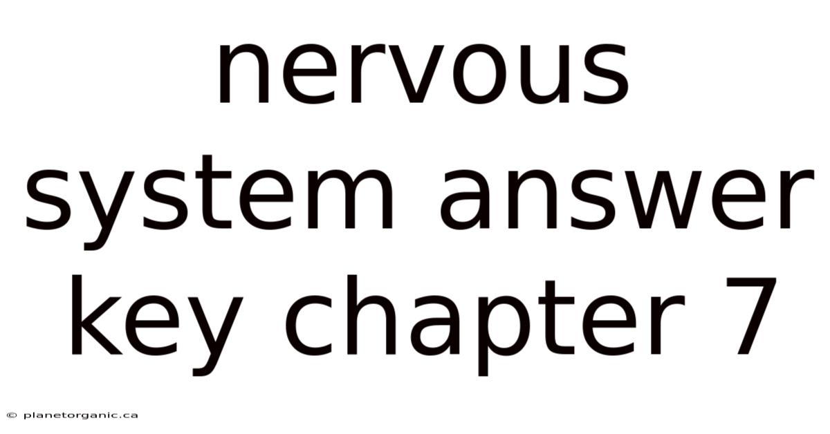 Nervous System Answer Key Chapter 7