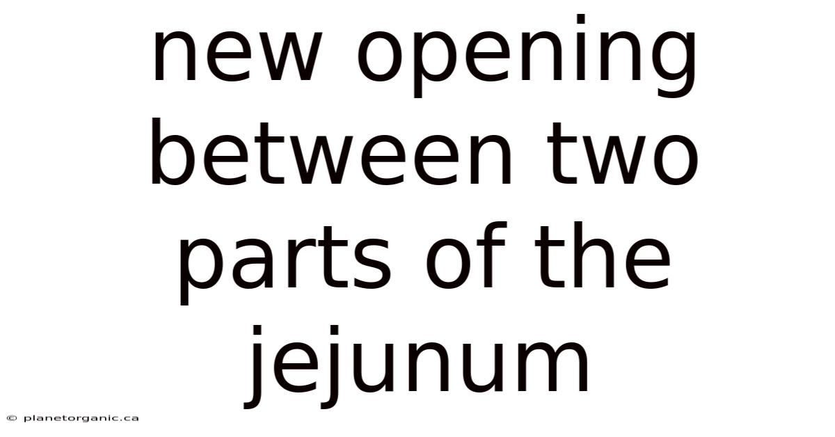 New Opening Between Two Parts Of The Jejunum