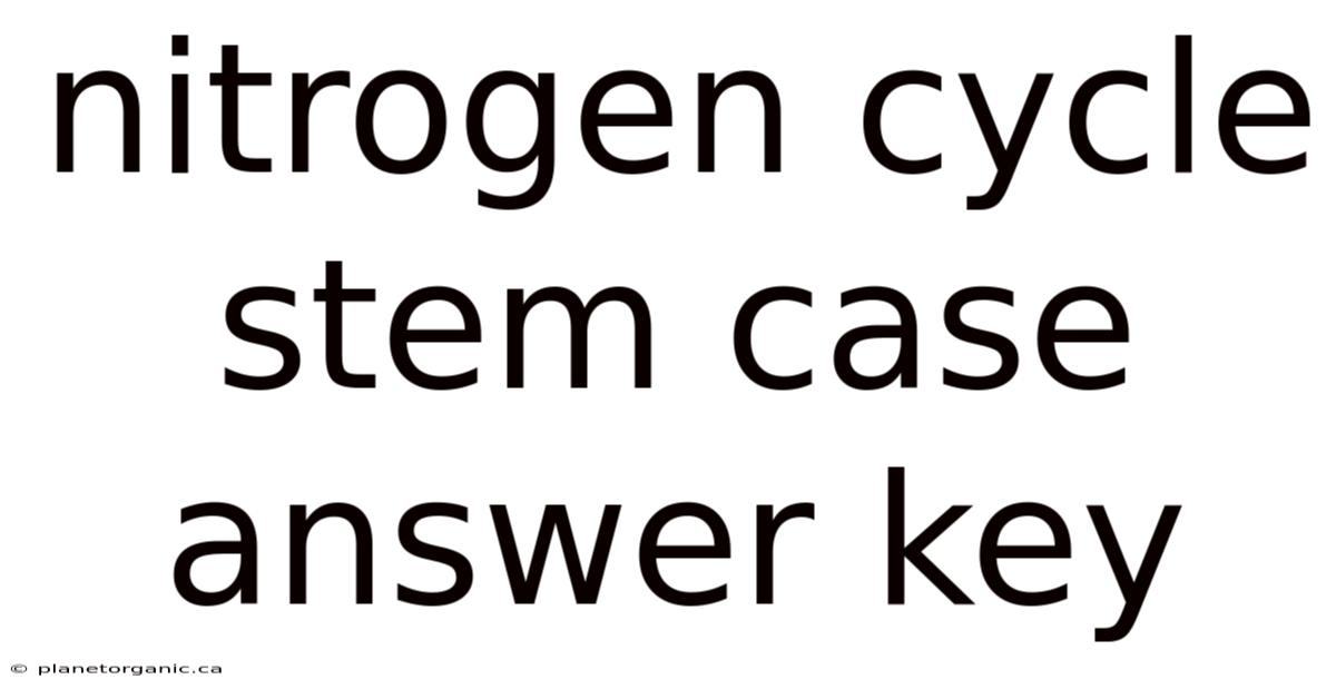 Nitrogen Cycle Stem Case Answer Key