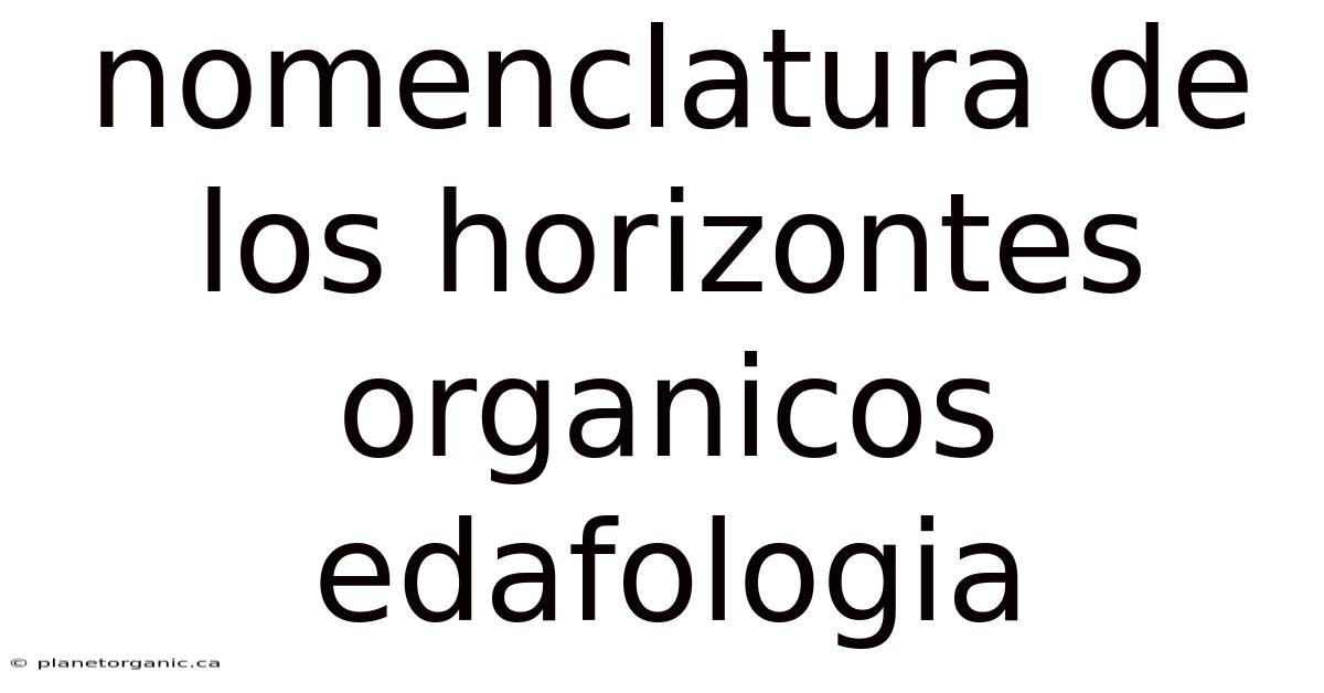 Nomenclatura De Los Horizontes Organicos Edafologia