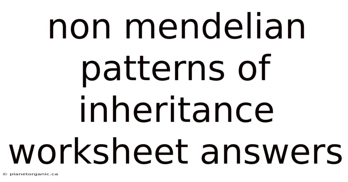 Non Mendelian Patterns Of Inheritance Worksheet Answers