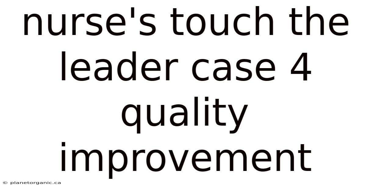 Nurse's Touch The Leader Case 4 Quality Improvement