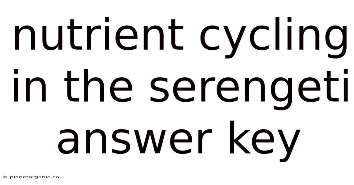 Nutrient Cycling In The Serengeti Answer Key