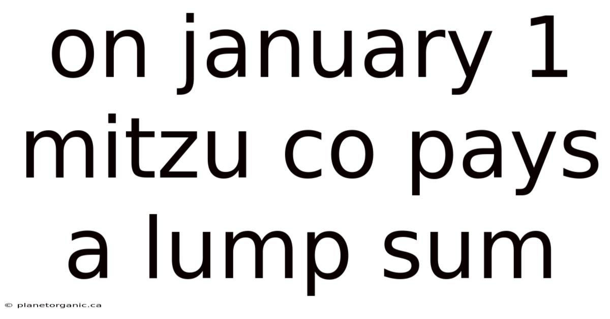 On January 1 Mitzu Co Pays A Lump Sum