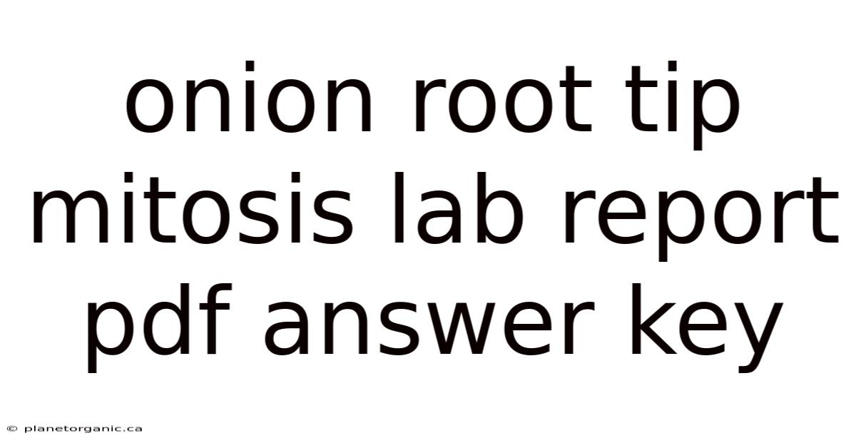 Onion Root Tip Mitosis Lab Report Pdf Answer Key