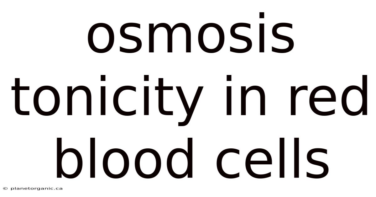 Osmosis Tonicity In Red Blood Cells
