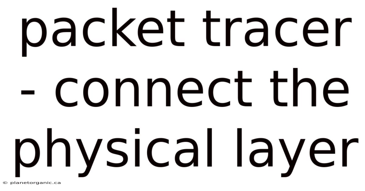 Packet Tracer - Connect The Physical Layer