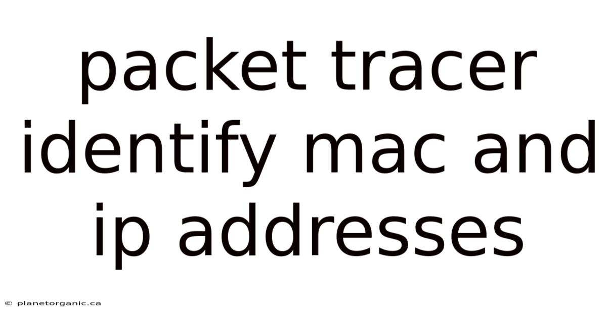 Packet Tracer Identify Mac And Ip Addresses