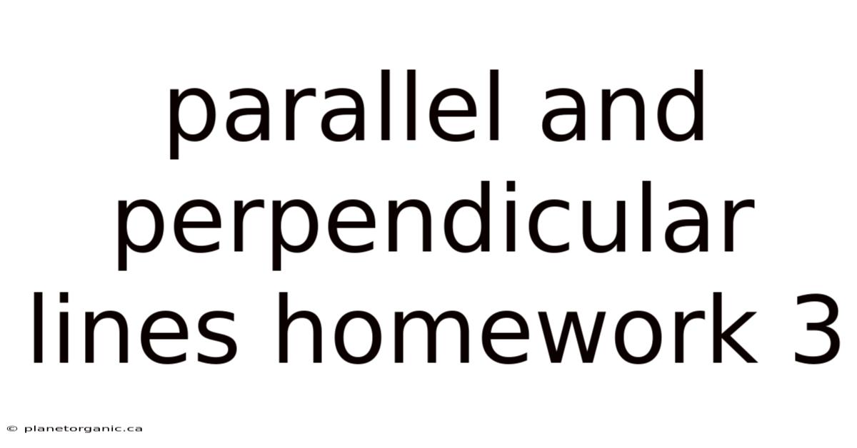 Parallel And Perpendicular Lines Homework 3