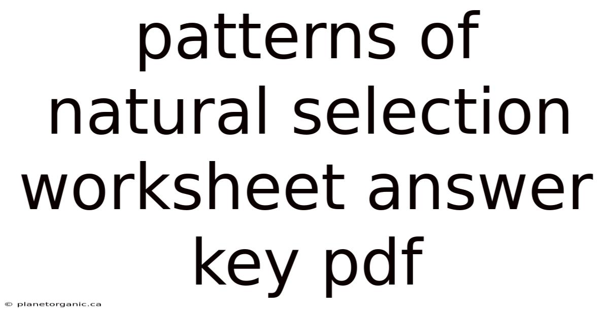 Patterns Of Natural Selection Worksheet Answer Key Pdf