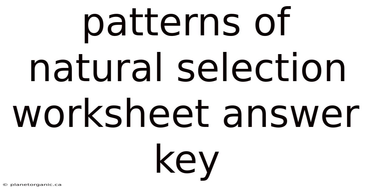 Patterns Of Natural Selection Worksheet Answer Key