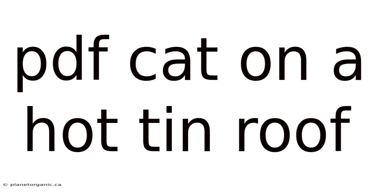 Pdf Cat On A Hot Tin Roof