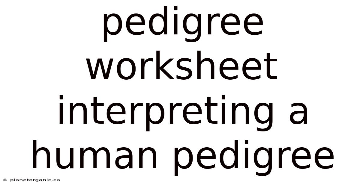 Pedigree Worksheet Interpreting A Human Pedigree