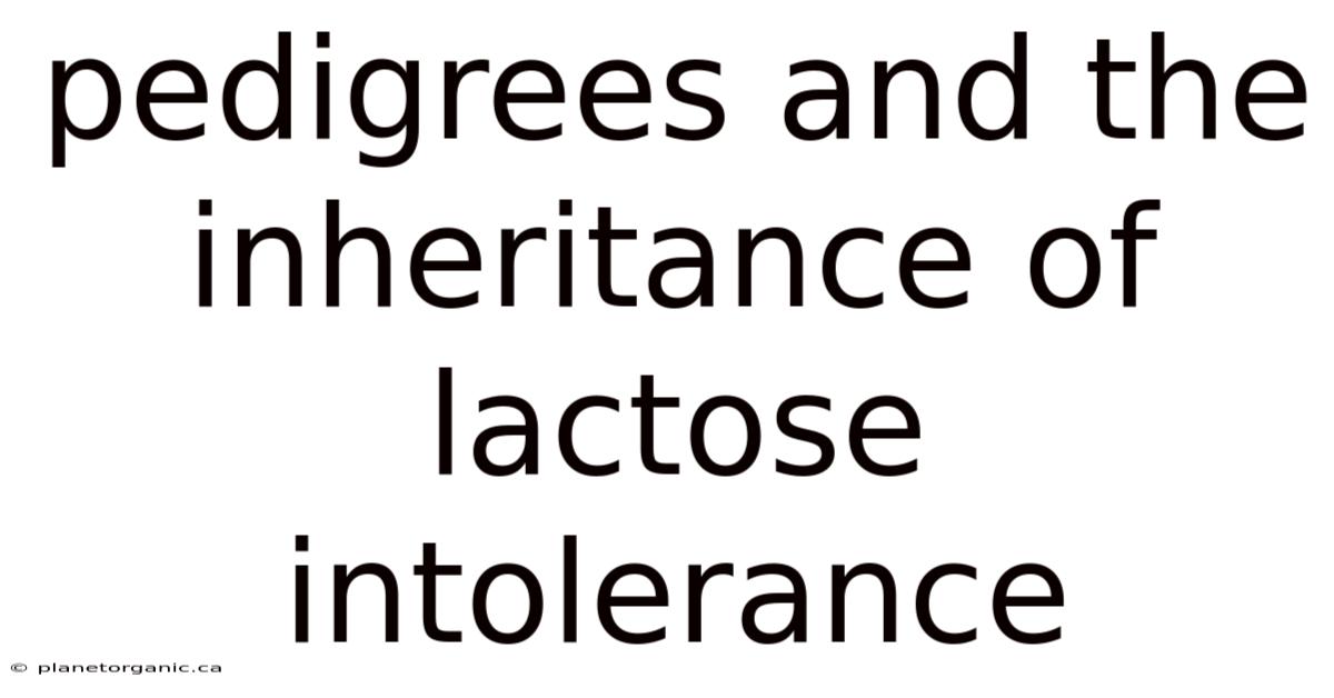 Pedigrees And The Inheritance Of Lactose Intolerance
