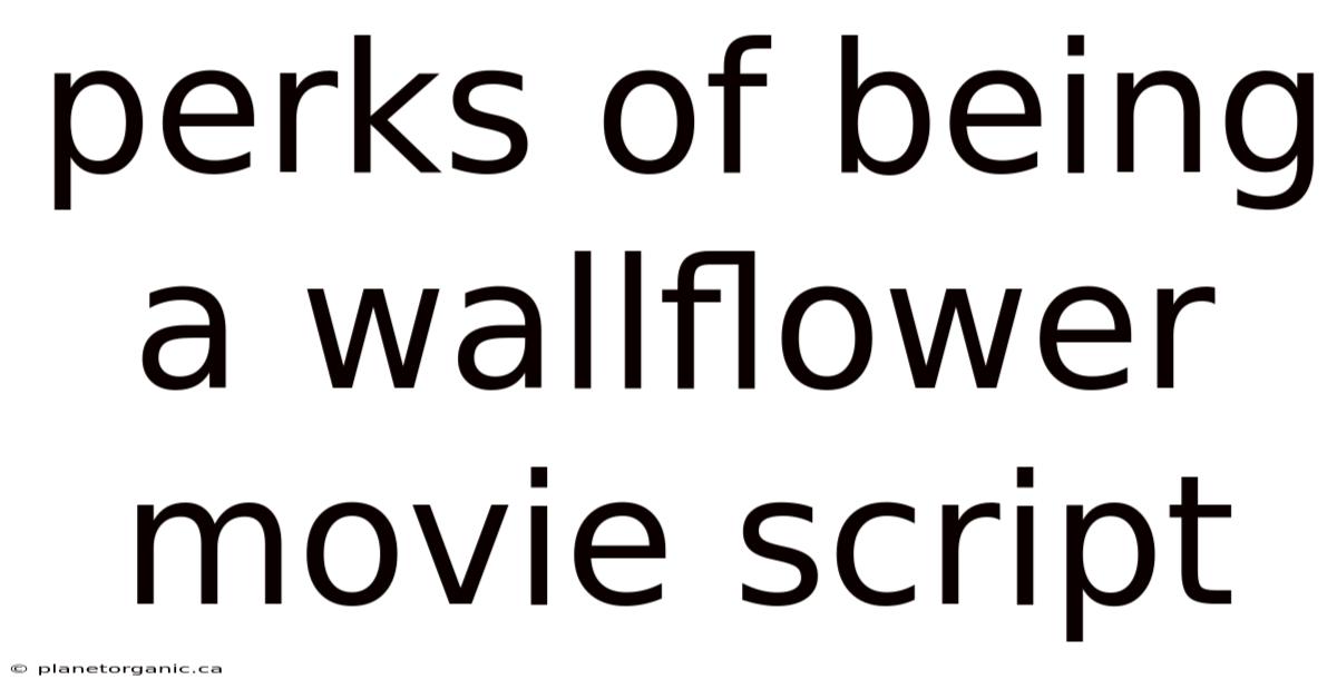 Perks Of Being A Wallflower Movie Script