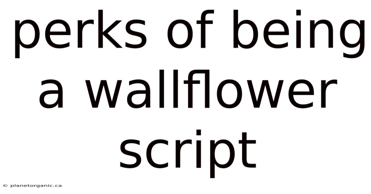 Perks Of Being A Wallflower Script