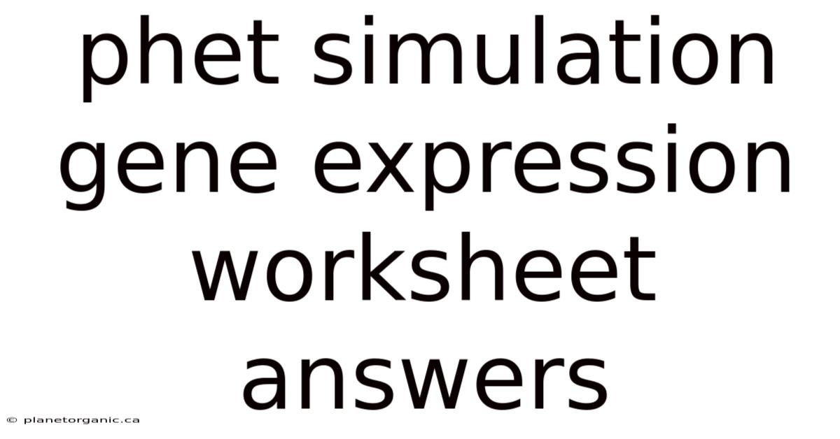 Phet Simulation Gene Expression Worksheet Answers