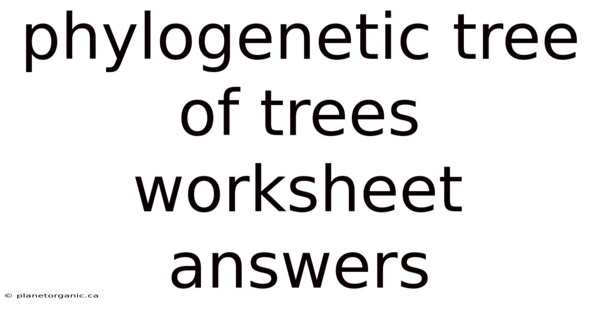Phylogenetic Tree Of Trees Worksheet Answers