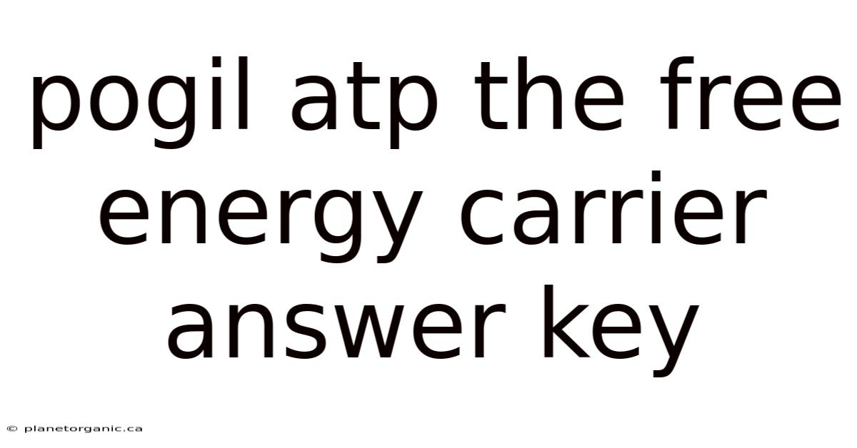 Pogil Atp The Free Energy Carrier Answer Key