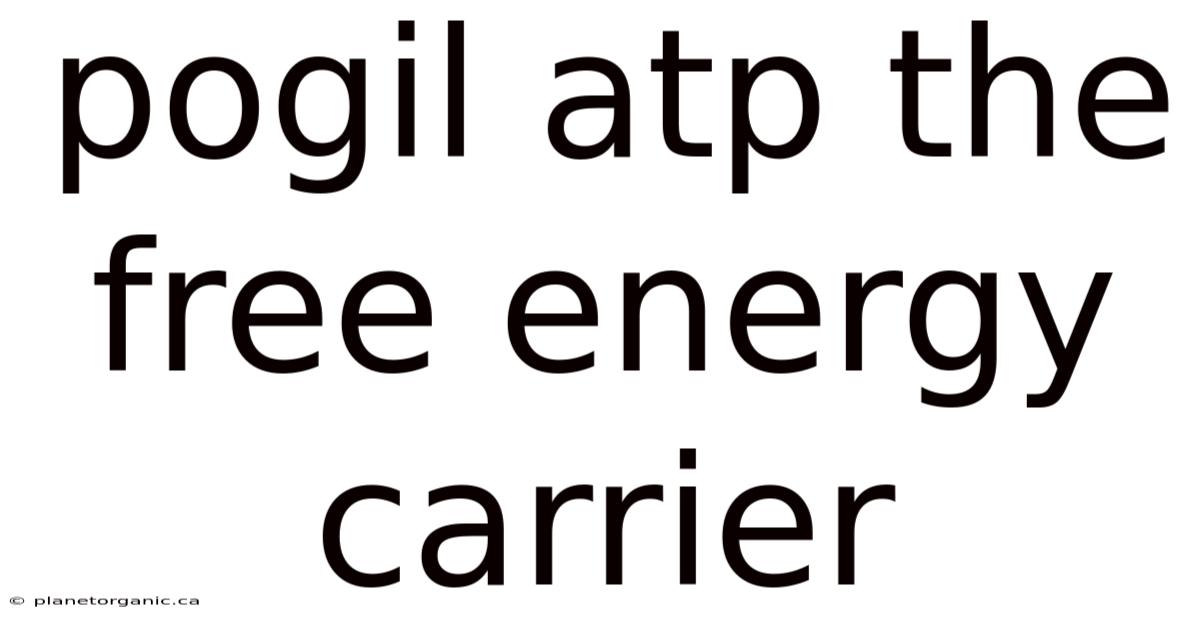 Pogil Atp The Free Energy Carrier