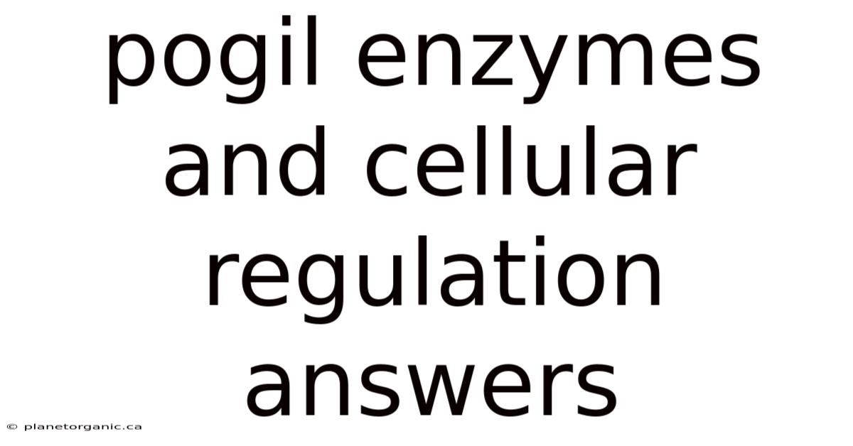 Pogil Enzymes And Cellular Regulation Answers