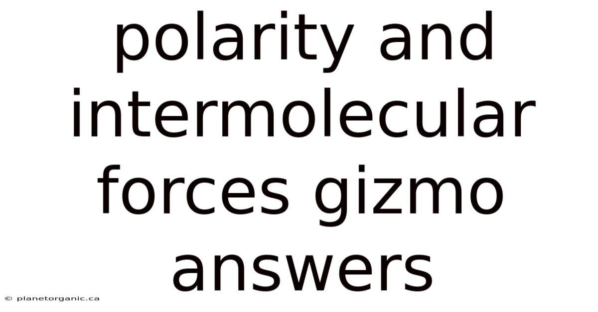 Polarity And Intermolecular Forces Gizmo Answers