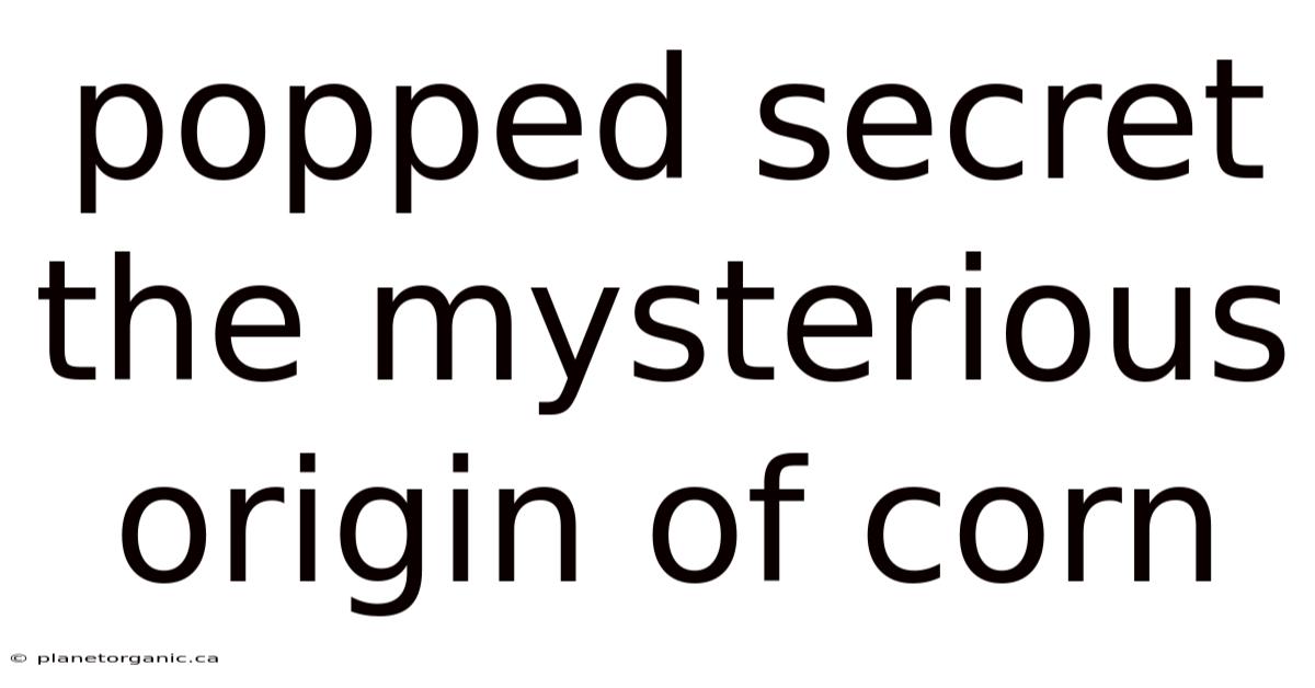 Popped Secret The Mysterious Origin Of Corn
