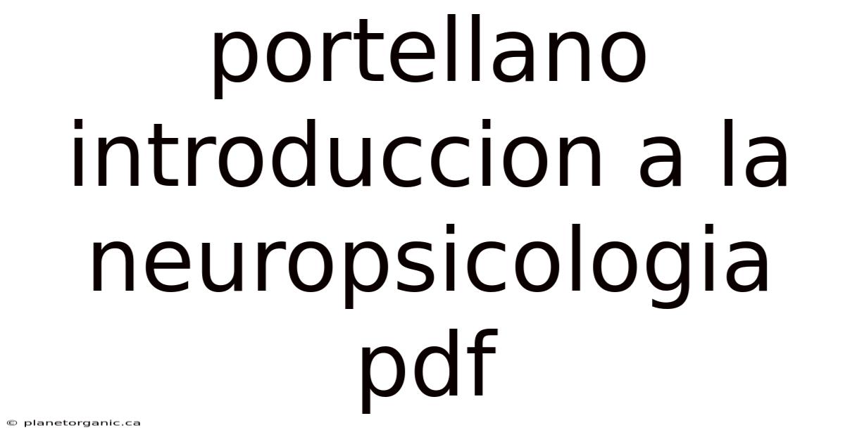 Portellano Introduccion A La Neuropsicologia Pdf