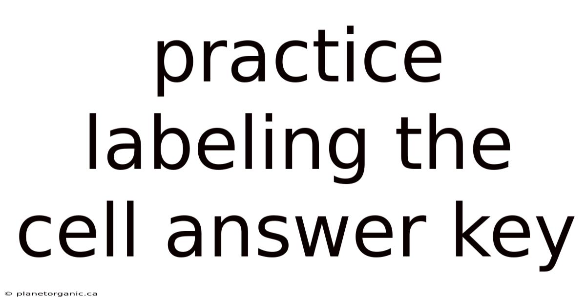 Practice Labeling The Cell Answer Key