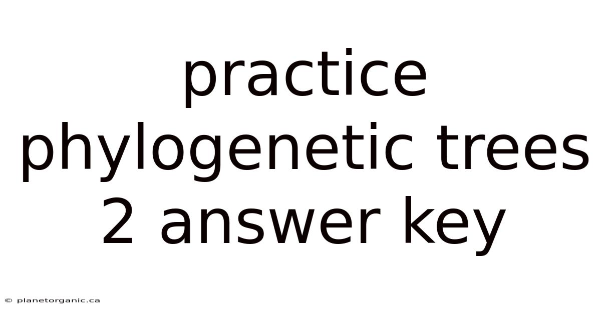 Practice Phylogenetic Trees 2 Answer Key