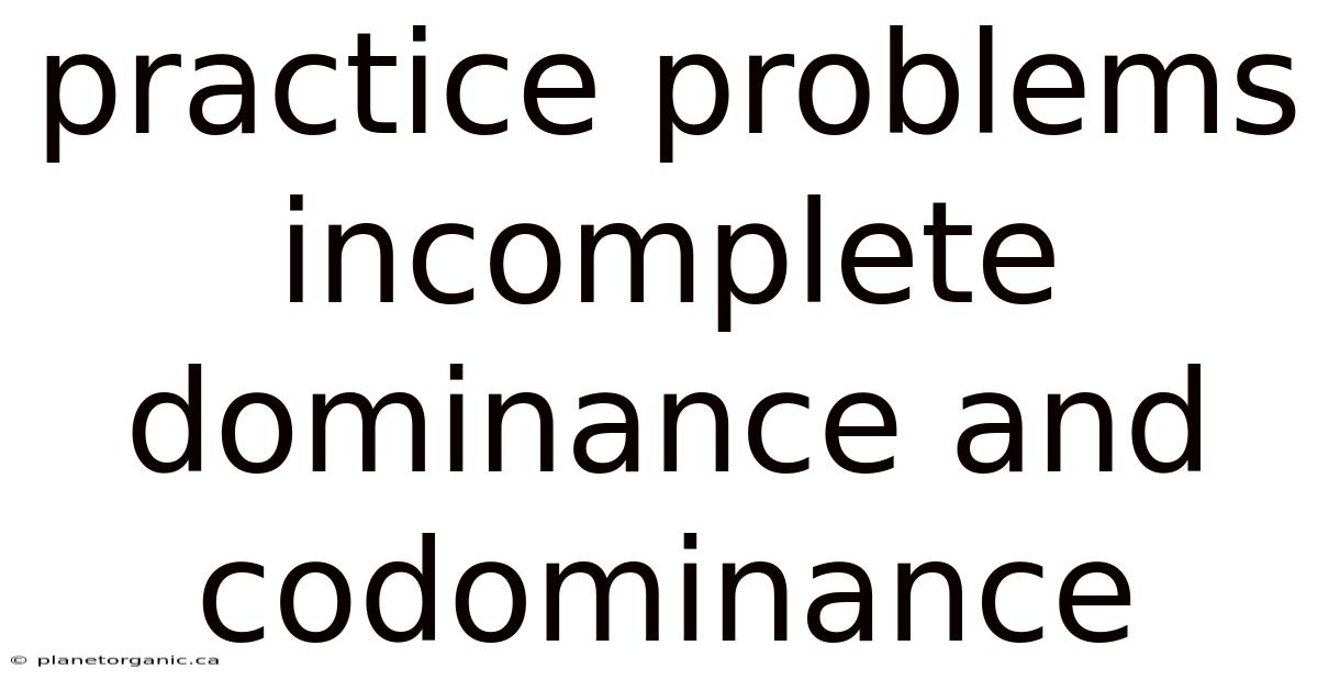 Practice Problems Incomplete Dominance And Codominance