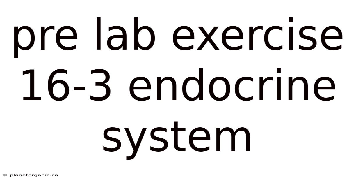 Pre Lab Exercise 16-3 Endocrine System