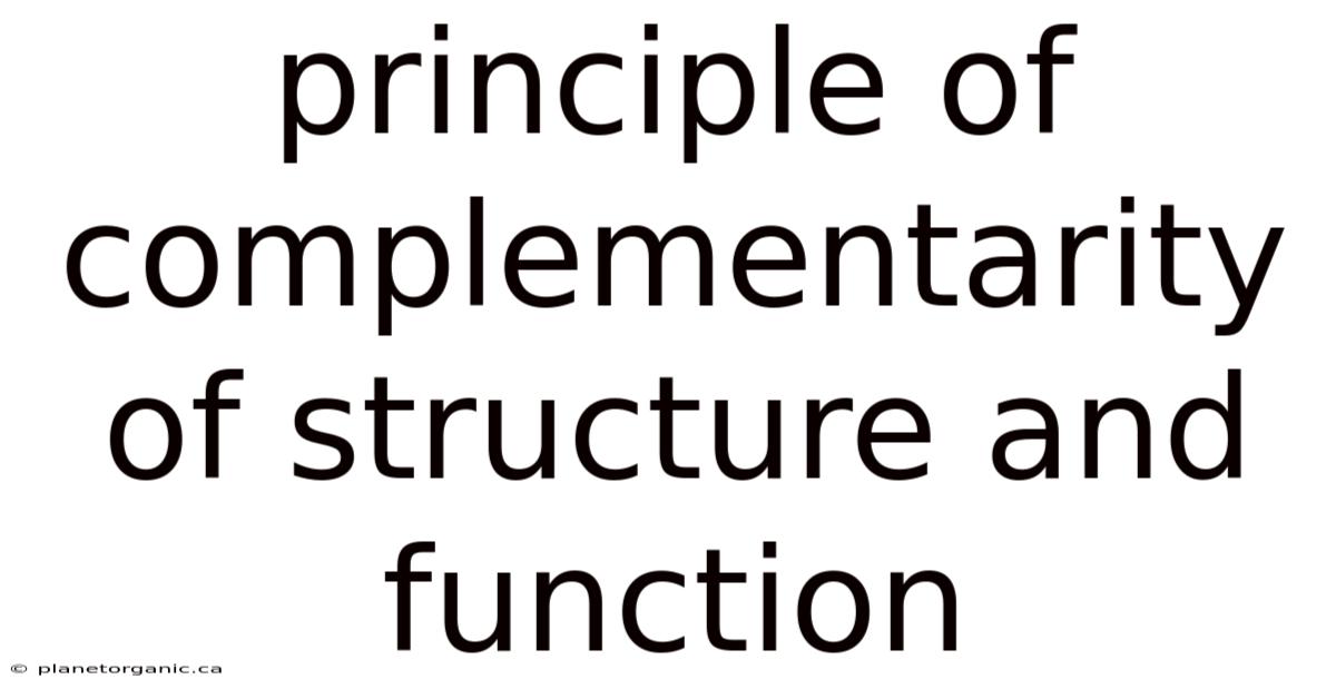 Principle Of Complementarity Of Structure And Function