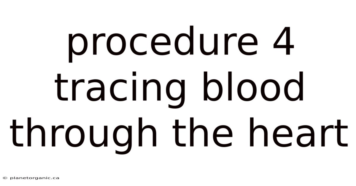 Procedure 4 Tracing Blood Through The Heart