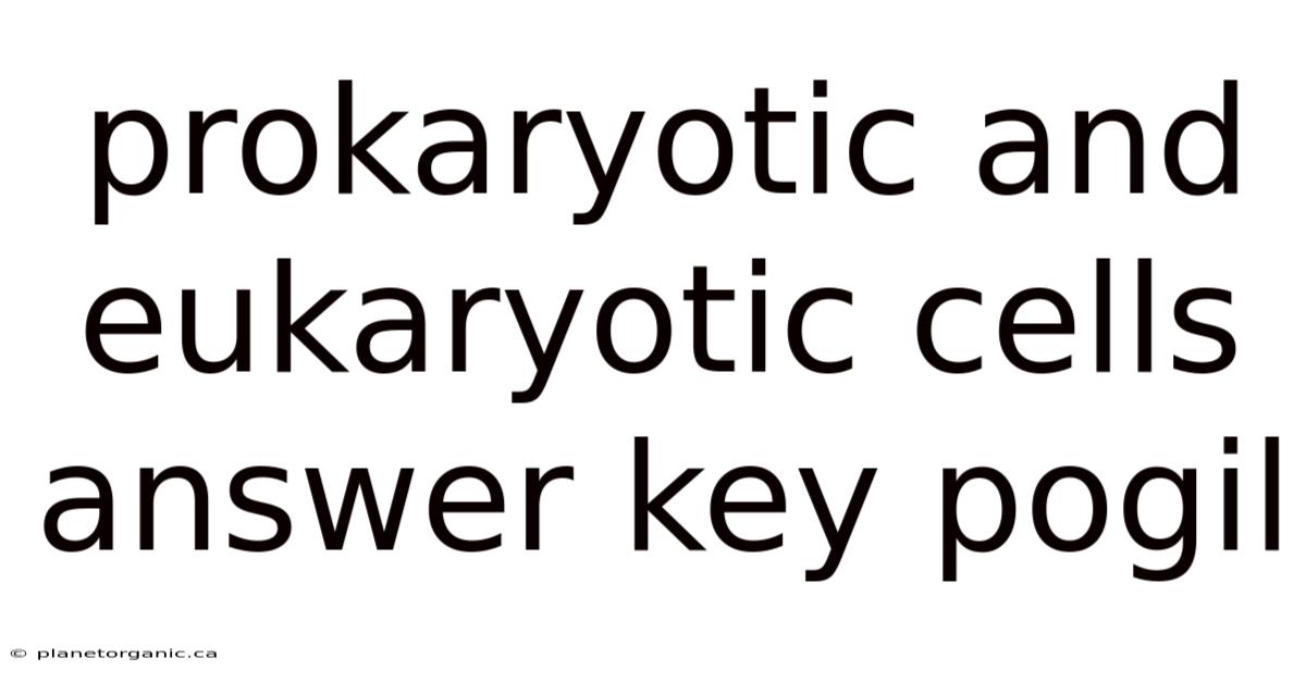 Prokaryotic And Eukaryotic Cells Answer Key Pogil