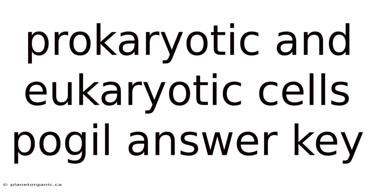 Prokaryotic And Eukaryotic Cells Pogil Answer Key