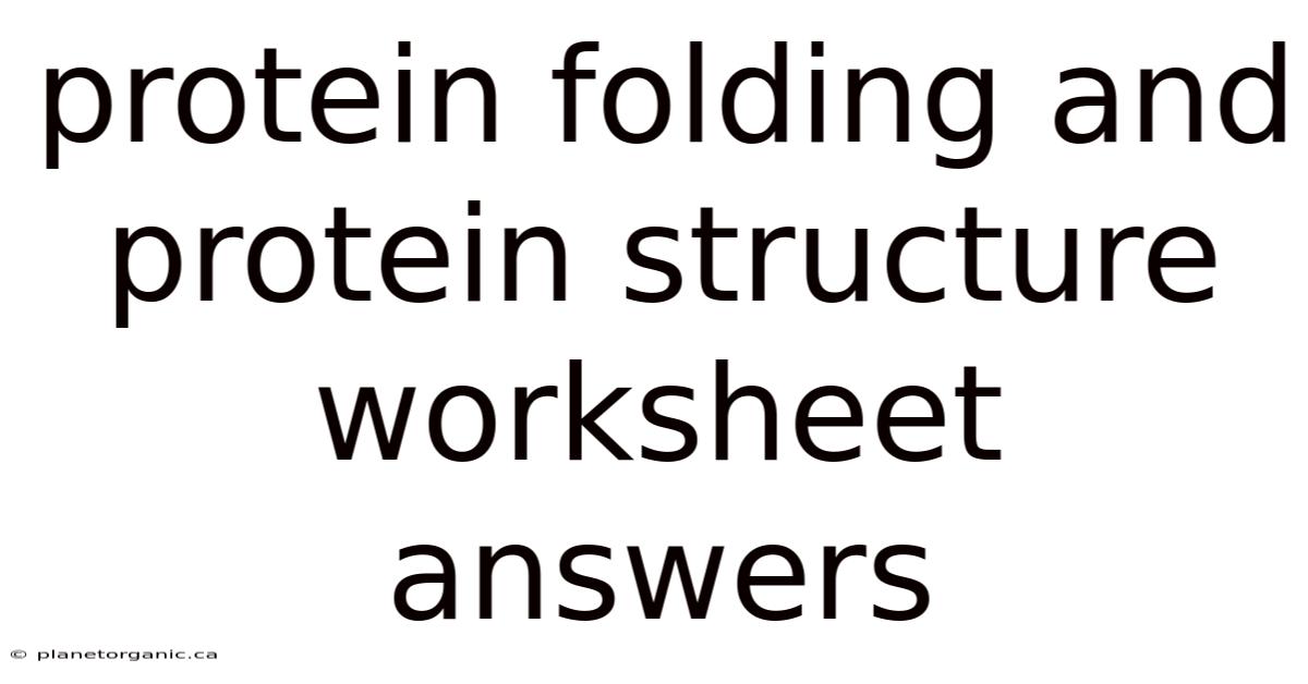Protein Folding And Protein Structure Worksheet Answers