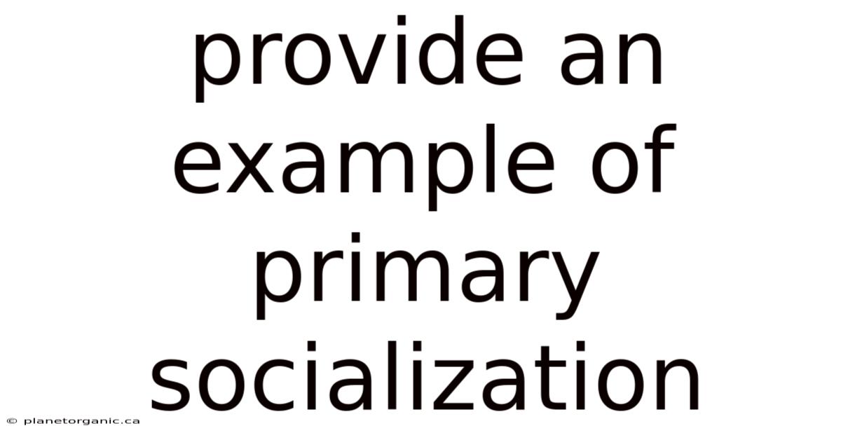 Provide An Example Of Primary Socialization