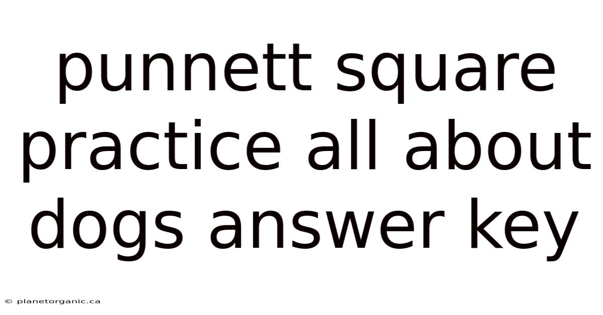 Punnett Square Practice All About Dogs Answer Key