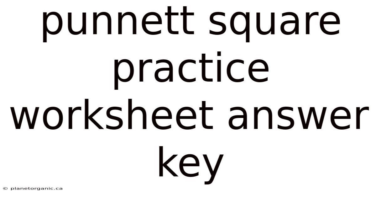 Punnett Square Practice Worksheet Answer Key