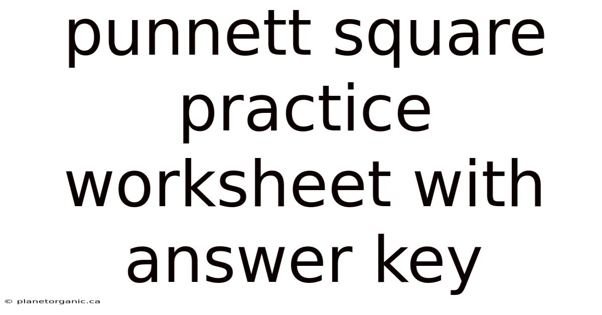 Punnett Square Practice Worksheet With Answer Key