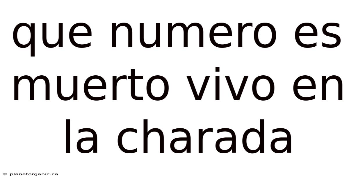 Que Numero Es Muerto Vivo En La Charada