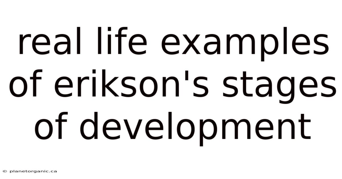 Real Life Examples Of Erikson's Stages Of Development